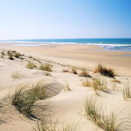 L'echo Des Vagues